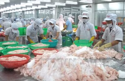 Báo Mỹ kêu gọi chính quyền công nhận nền kinh tế thị trường của Việt Nam ảnh 1