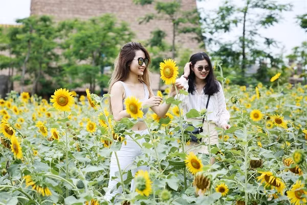 Vui hết nấc ở thiên đường vui chơi giải trí số 1 miền Bắc ảnh 3