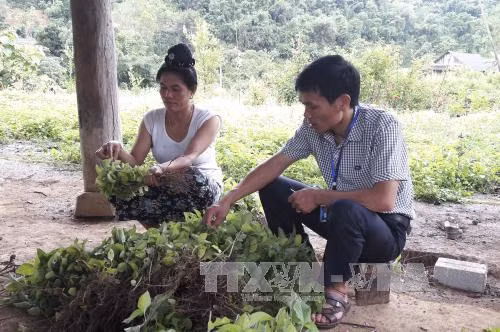Đề án 500 trí thức trẻ tình nguyện - Bài 2: Còn đó những trăn trở ảnh 1