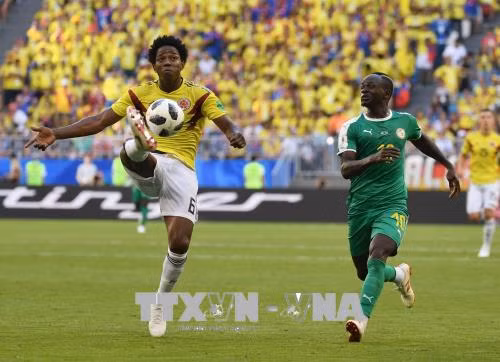 WORLD CUP 2018: Bi kịch của châu Phi ảnh 1