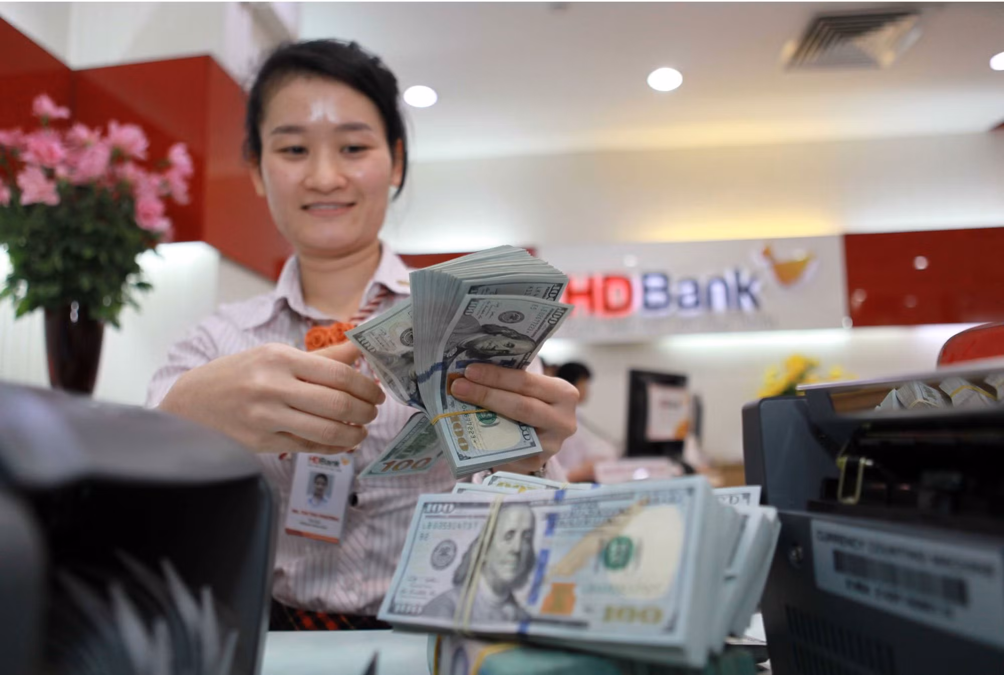 Tỷ giá có dấu hiệu 'hạ nhiệt' ảnh 1