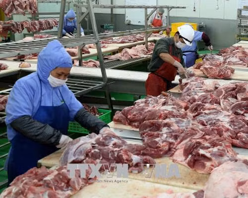 Việt Nam xuất khẩu lô thịt lợn đầu tiên sang Myanmar ảnh 1