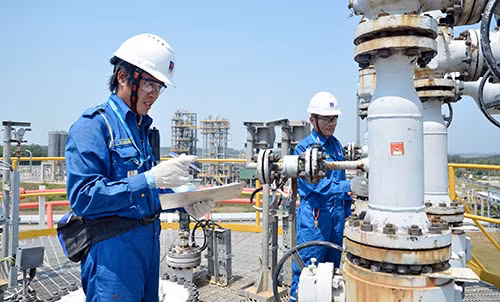 Lọc dầu Dung Quất vẫn tăng trưởng rất khả quan ảnh 3