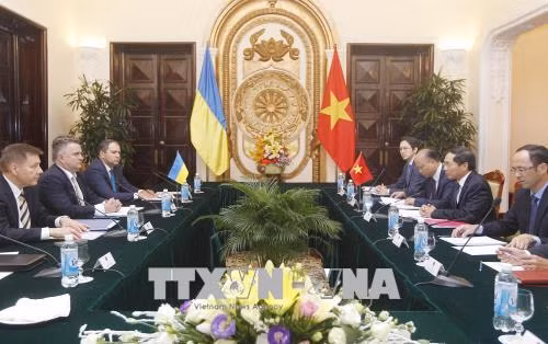 Tham vấn chính trị cấp Thứ trưởng Ngoại giao Việt Nam - Ukraine ảnh 2