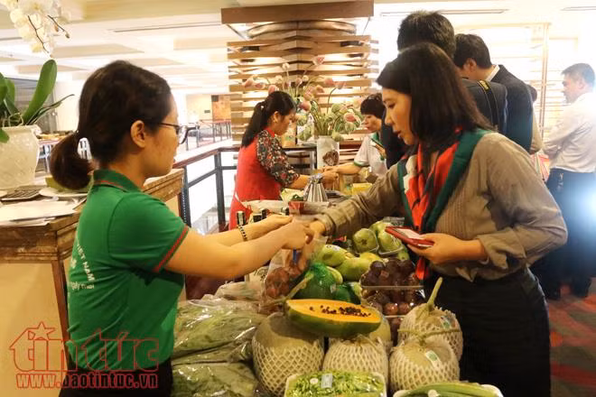 Hà Nội và tỉnh Fukuoka (Nhật Bản) hợp tác phát triển nông nghiệp công nghệ cao ảnh 7