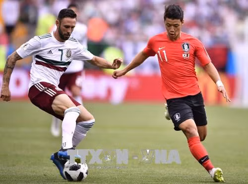 WORLD CUP 2018: Bảng F - Đẳng cấp Mexico nhấn chìm Hàn Quốc ảnh 1