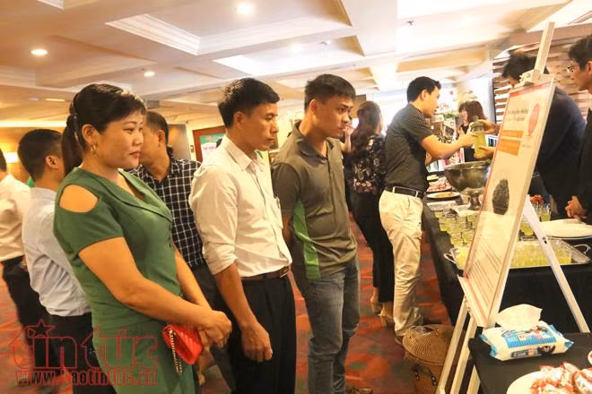 Hà Nội và tỉnh Fukuoka (Nhật Bản) hợp tác phát triển nông nghiệp công nghệ cao ảnh 8