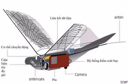Trung Quốc sáng chế UAV chim bồ câu bịt mắt radar ảnh 2