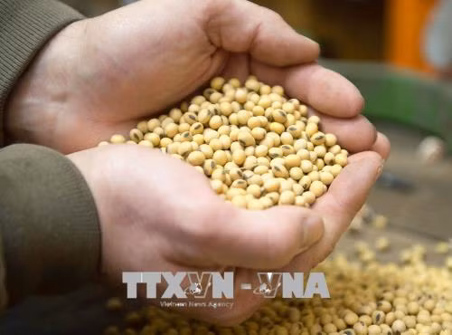 Ấn Độ áp thuế trả đũa Mỹ ảnh 1