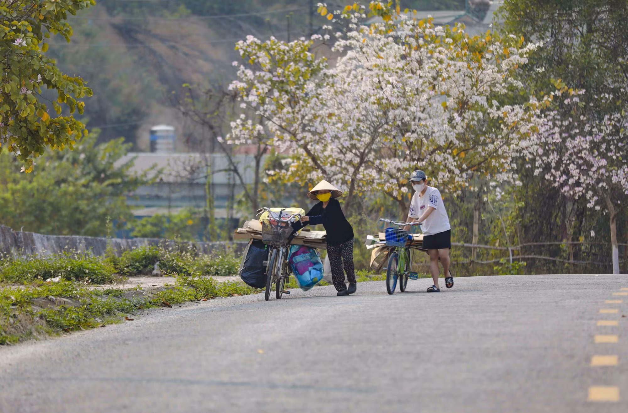 hoa-ban-22226-27.jpg