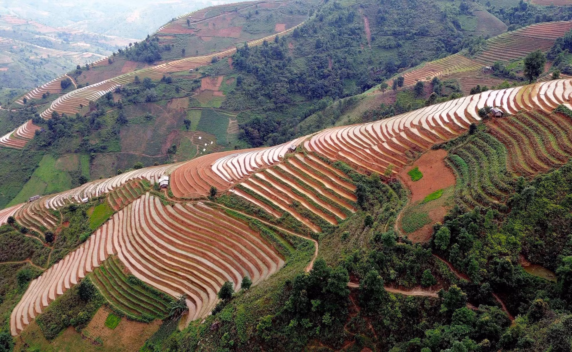 ruong-bac-thang-bac-yen-14.jpg