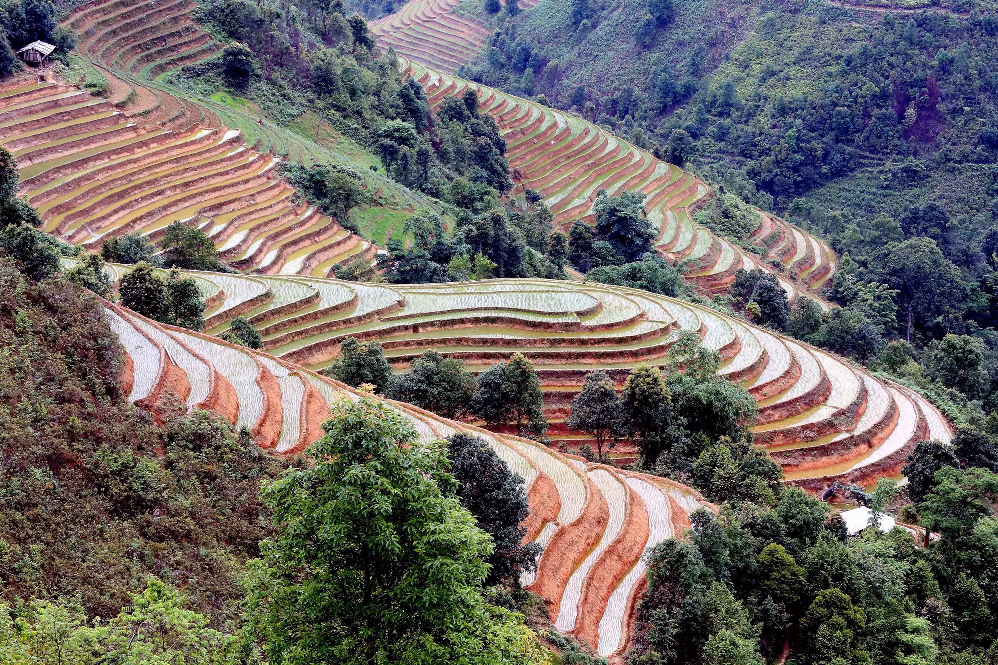 ruong-bac-thang-bac-yen-10.jpg