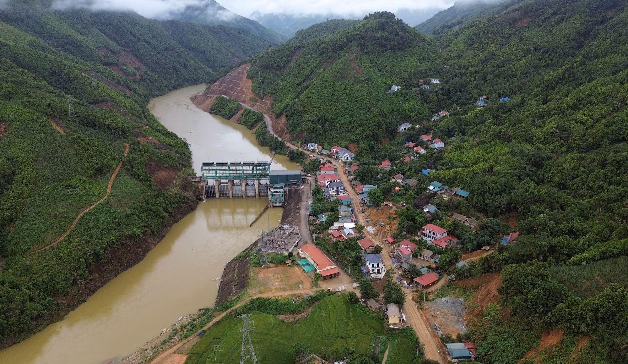 nghia-lo-7625-20.jpg