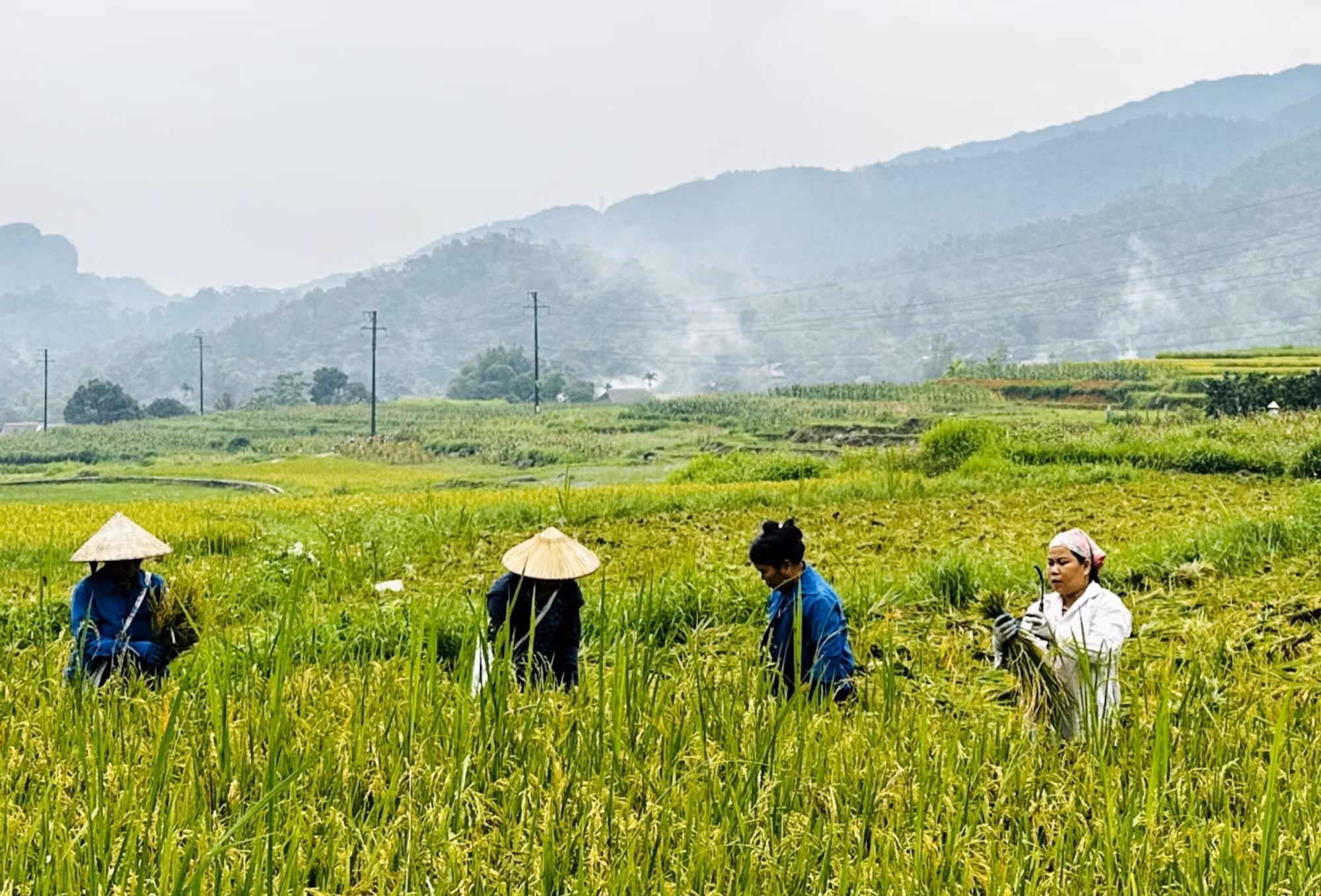 ha-giang-14625-13.jpg