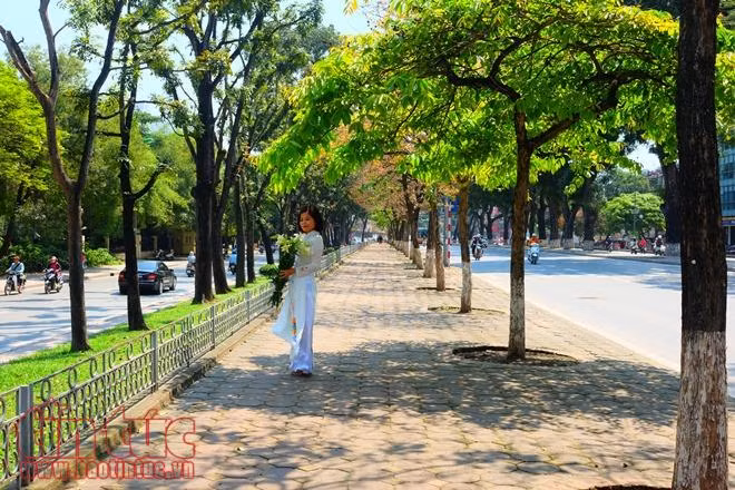 Con đường lãng mạn nhất Hà Nội vào mùa lá đỏ đẹp như châu Âu ảnh 15