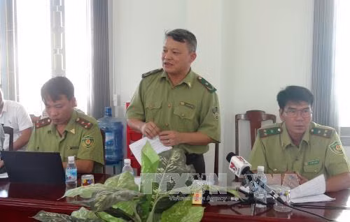 Thanh tra việc thực hiện chuyển đổi mục đích sử dụng rừng tại Phú Yên ảnh 1