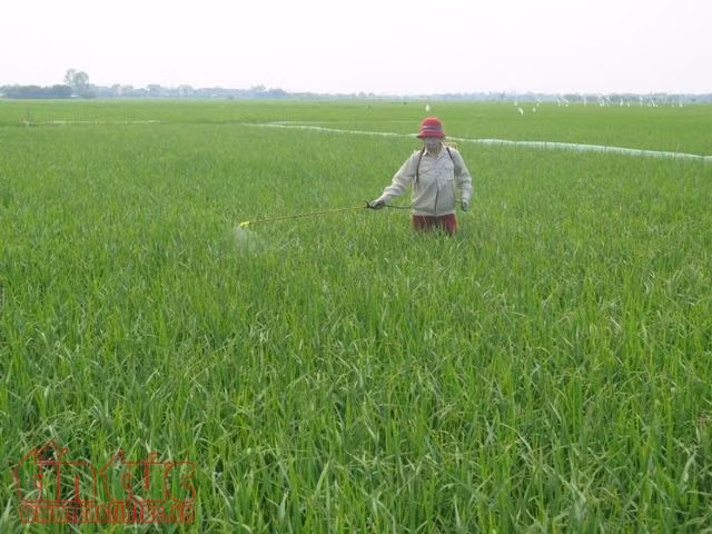 Đất nông nghiệp hàng nghìn tỷ đồng chưa được vốn hóa ảnh 1