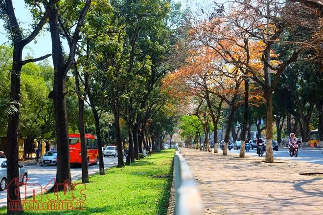 Con đường lãng mạn nhất Hà Nội vào mùa lá đỏ đẹp như châu Âu ảnh 6