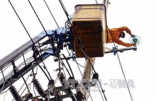 Đà Nẵng đảm bảo cấp điện an toàn phục vụ APEC ảnh 1