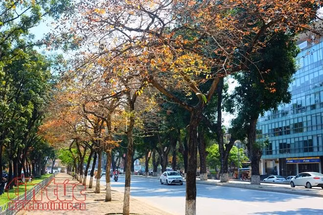 Con đường lãng mạn nhất Hà Nội vào mùa lá đỏ đẹp như châu Âu ảnh 7