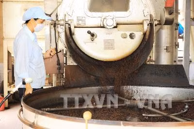 Cổ phần hóa VINACAFE khó cũng phải làm ảnh 1