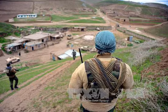 Đột kích nơi ẩn náu, an ninh Afghanistan tóm gọn chỉ huy Taliban quan trọng ảnh 1