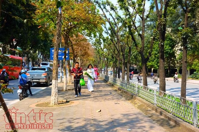 Con đường lãng mạn nhất Hà Nội vào mùa lá đỏ đẹp như châu Âu ảnh 14