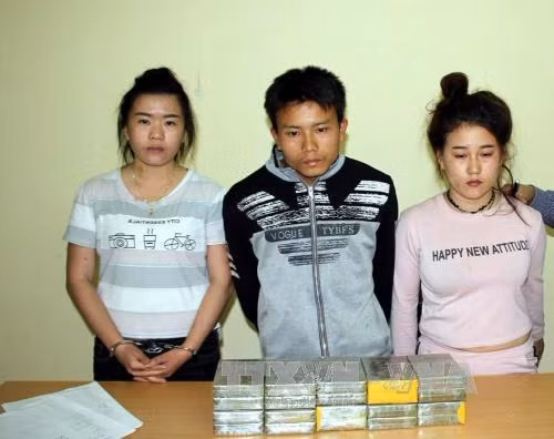 Dùng ngựa thồ chở hàng chục cân quả cây thuốc phiện khô từ Lào về Việt Nam ảnh 2