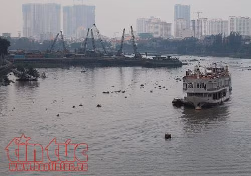  Buýt đường sông tại TP Hồ Chi Minh sẽ đưa vào hoạt động vào tháng 6 ảnh 2