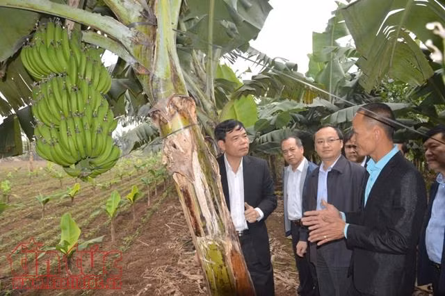 Đất nông nghiệp hàng nghìn tỷ đồng chưa được vốn hóa ảnh 2
