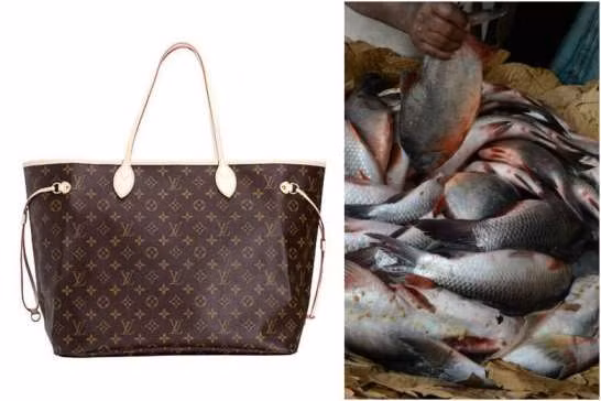 Hài hước lý do bà cụ dùng túi hiệu Louis Vuitton đựng cá ảnh 1