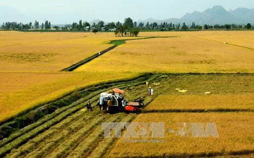 Những điểm mới trong dự thảo văn kiện Đại hội XII của Đảng ảnh 2