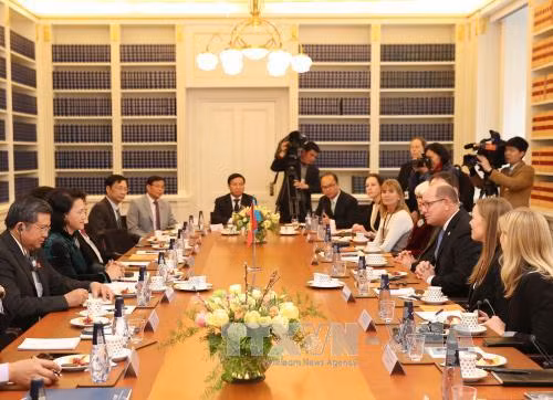 Chủ tịch Quốc hội Nguyễn Thị Kim Ngân hội đàm với Chủ tịch Quốc hội Thụy Điển ảnh 2