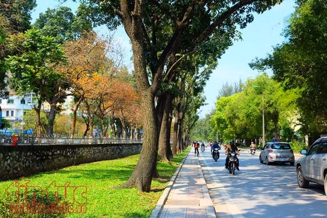 Con đường lãng mạn nhất Hà Nội vào mùa lá đỏ đẹp như châu Âu ảnh 2