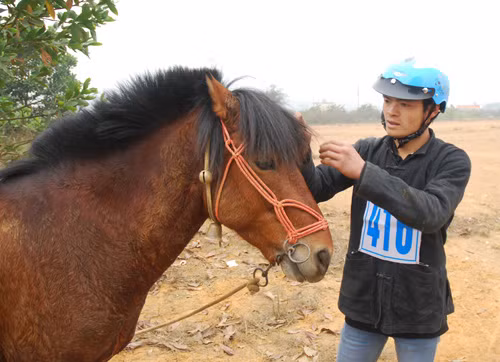 Ngày hội “Sắc xuân trên mọi miền Tổ quốc” ảnh 17