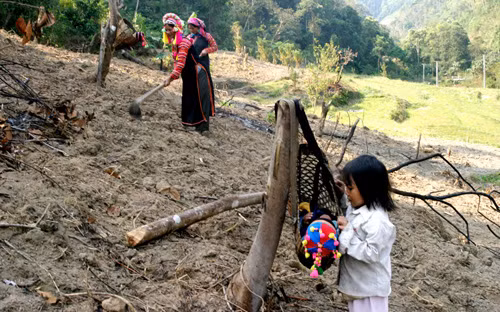 Sau Tết, vất vả đưa học sinh vùng cao ra lớp ảnh 1