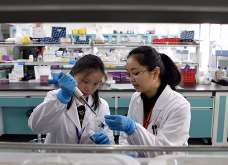 Thêm 4 trường hợp nhiễm cúm H7N9 tại Trung Quốc ảnh 1