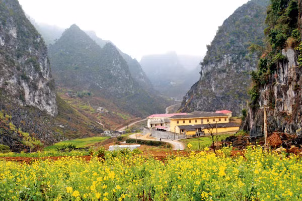 Hoa xuân trên cao nguyên đá ảnh 1