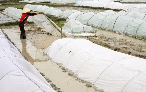 Lạnh tăng cường, miền Bắc tiếp tục rét đậm, rét hại ảnh 1