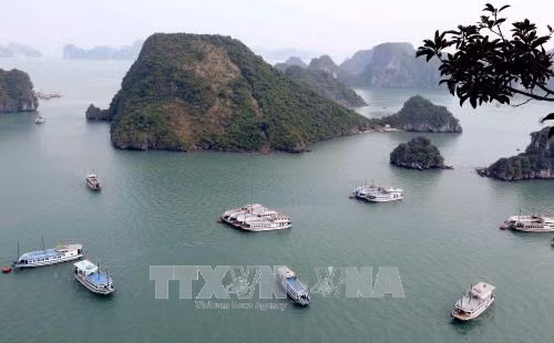 'Giải cứu' 5 du khách bị lừa hơn 600 euro thuê tàu du lịch Vịnh Hạ Long ảnh 1