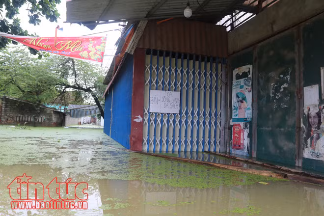 Người dân xã Tân Tiến khốn khổ vì sống trong cảnh ngập lụt và ô nhiễm ảnh 6