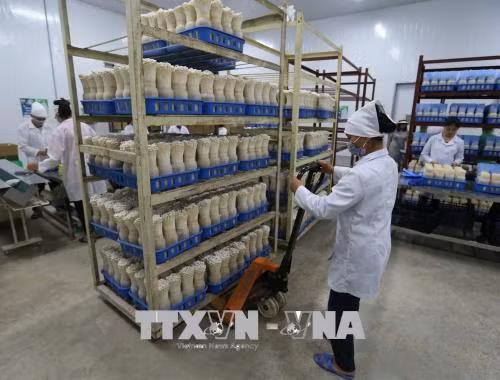 Thúc đẩy đầu tư vào nông nghiệp: Hoàn thiện hạ tầng cho nông nghiệp phát triển - Bài 2 ảnh 1