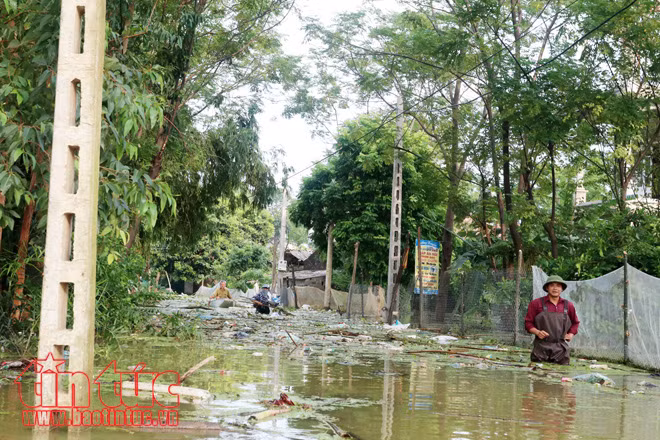 Người dân xã Tân Tiến khốn khổ vì sống trong cảnh ngập lụt và ô nhiễm ảnh 4