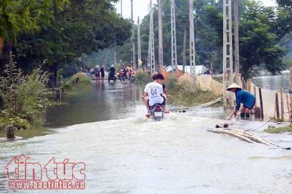 Nhiều xã của huyện Chương Mỹ (Hà Nội) vẫn bị chia cắt do nước ngập sâu ảnh 5