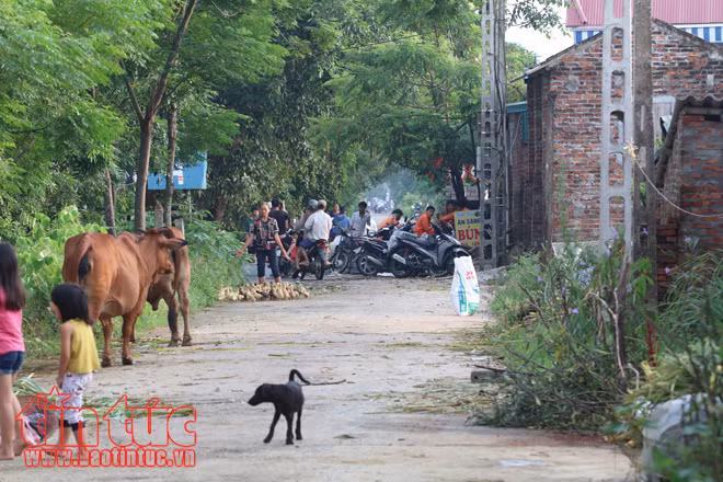 Người dân xã Tân Tiến khốn khổ vì sống trong cảnh ngập lụt và ô nhiễm ảnh 8