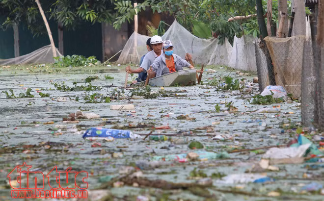 Người dân xã Tân Tiến khốn khổ vì sống trong cảnh ngập lụt và ô nhiễm ảnh 14