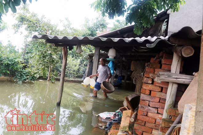 Người dân xã Tân Tiến khốn khổ vì sống trong cảnh ngập lụt và ô nhiễm ảnh 10