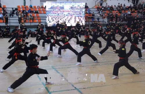 Khai mạc Liên hoan quốc tế Võ cổ truyền Thành phố Hồ Chí Minh mở rộng lần thứ 5 ảnh 1
