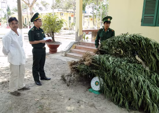 Cảnh báo về thú chơi nguy hiểm trong giới trẻ Phú Yên ảnh 1