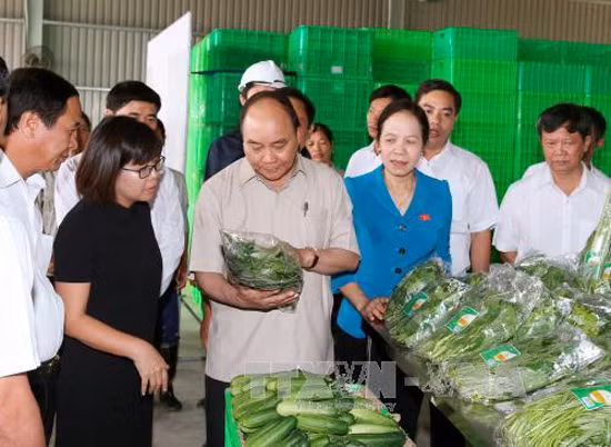 Thủ tướng thăm VinEco - Hải Phòng ảnh 1